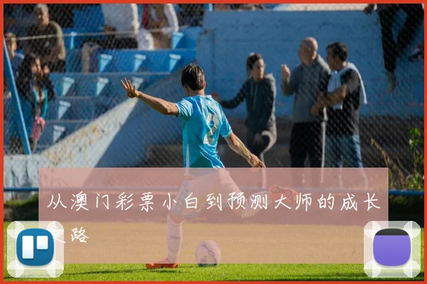 从澳门彩票小白到预测大师的成长之路